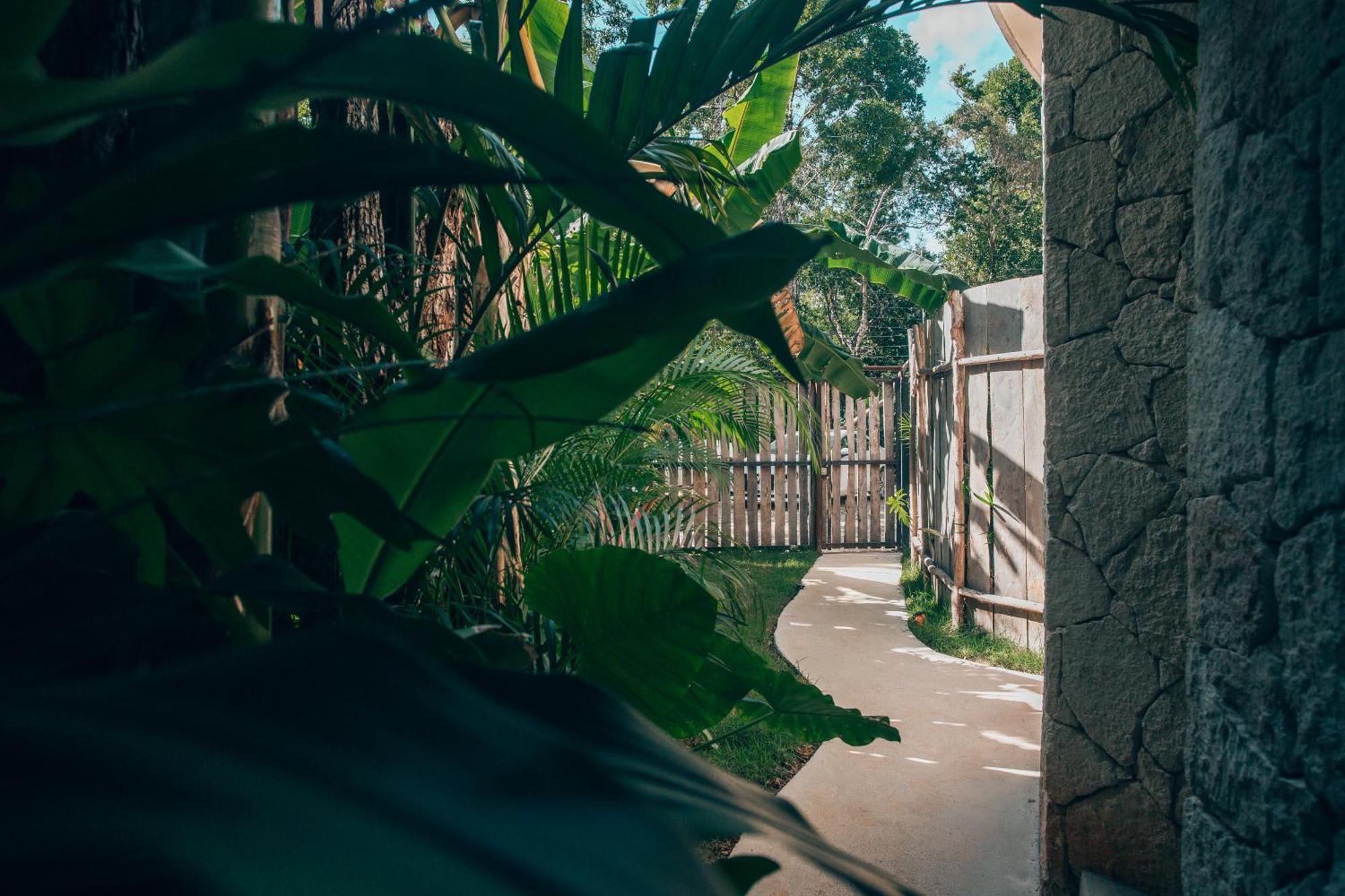 Jungle Rooftop Round Villa -Priv Pool-Bathtub 2A Tulum Exterior photo